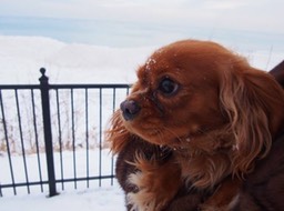 10386281_10205358718714660_378994286348903281_n