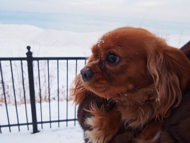 10386281_10205358718714660_378994286348903281_n